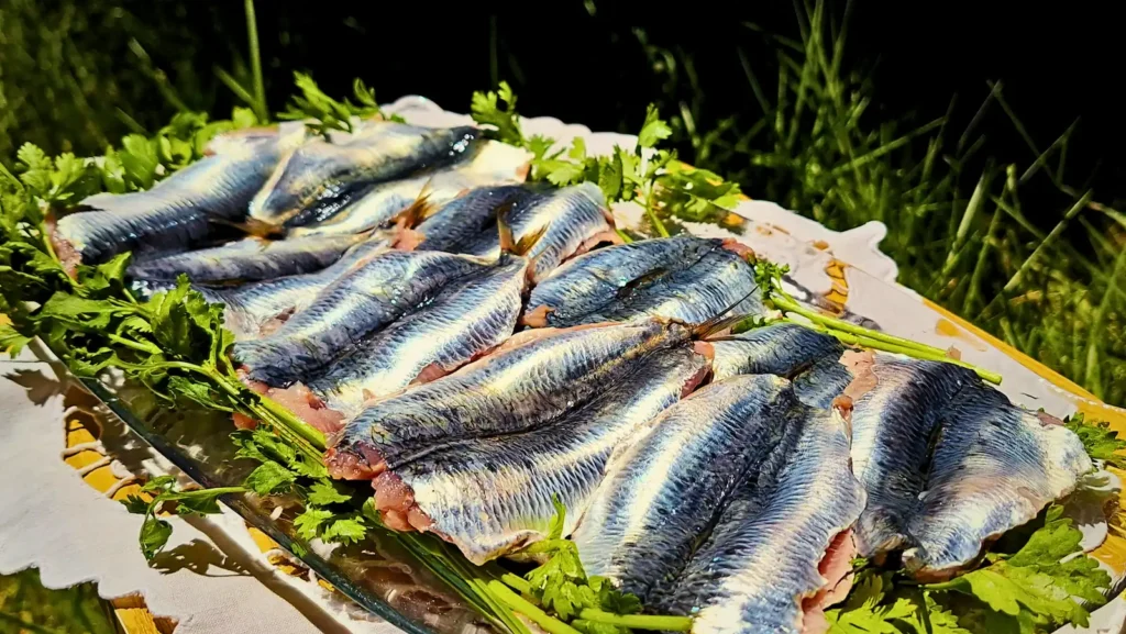Fresh sardines
